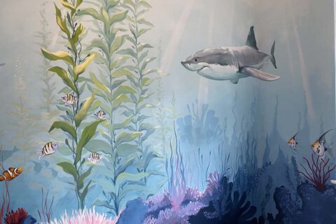 Permalink to:Undersea Murals